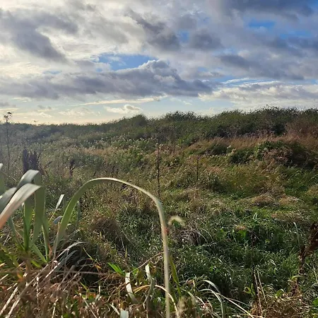 Vakantiehuis 6 Person In Kalundborg-by Traum Kalundborg