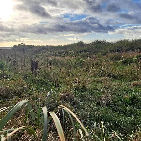 Vakantiehuis 6 Person In Kalundborg-by Traum Kalundborg